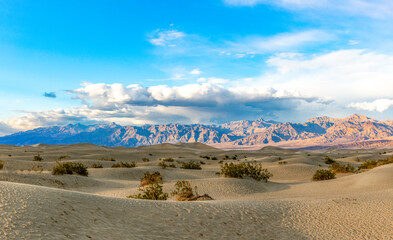 beautiful Mesquite flats in the death valley desert in sunset light