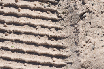tracks in sand