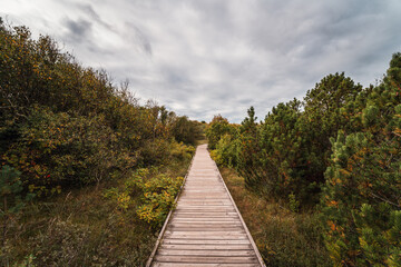 Fototapeta na wymiar Pathway leading to the famous Tylosand beach on the Swedish west coast. High resolution photo.