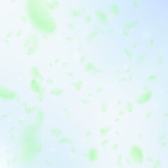 Green flower petals falling down. Favorable romant