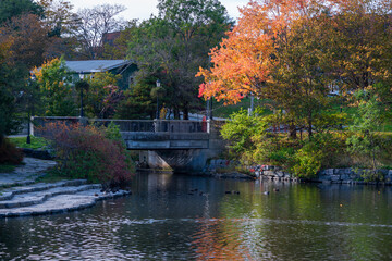 A bridge over a river nestled among autumn foliage surrounded by tall trees. The bridge is at a rounded point at a duck pond with colorful reflections in the water. 