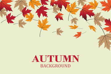 autumn background with beautiful leaves