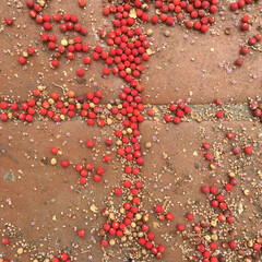 Full frame close-up view of fallen palm fruits on the pavement
