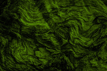 fond ou texture d'arrière-plan abstrait vert, détail de bois de couleur, sapin, Noël