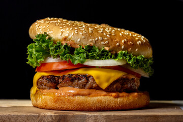 Delicious Gourmet Burger 