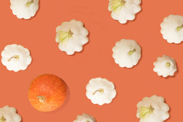Organic fresh patty pan squash made pattern. Minimal flat lay arrangement terracotta background