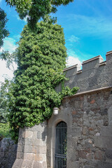 Fototapeta na wymiar stone wall with green leaves
