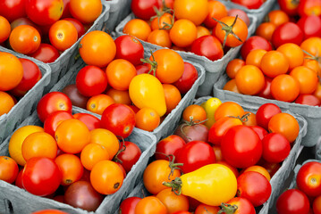 Cherry and grape tomatoes at a local farmer's market