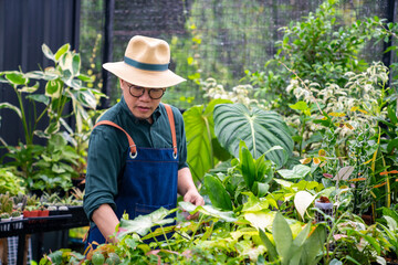  Asian man gardener caring houseplant and flowers in greenhouse garden. Male plant shop owner working and spraying water potted plants in store. Small business entrepreneur and plant caring concept