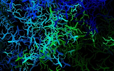 Dark Blue, Red vector elegant template with leaves, branches.