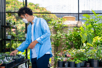 Asian man wearing protective face mask during COVID-19 pandemic choosing and buying houseplants at greenhouse plant shop. Handsome male enjoy leisure activity indoor lifestyle growing plant at home.