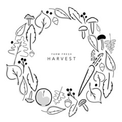 Farm Harvest vector illustration of leaves, pumpkin, mushrooms, vegetables and fruits. Hand-drawn graphic template of fall season. Banner, Ad, email, card - Farm Fresh Harvest -