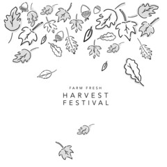 Fall Autumn vector illustration of leaves falling. Hand-drawn graphic template of harvest season. Banner, menu, Ad, email, card, sign, - Farm Fresh Harvest Festival -