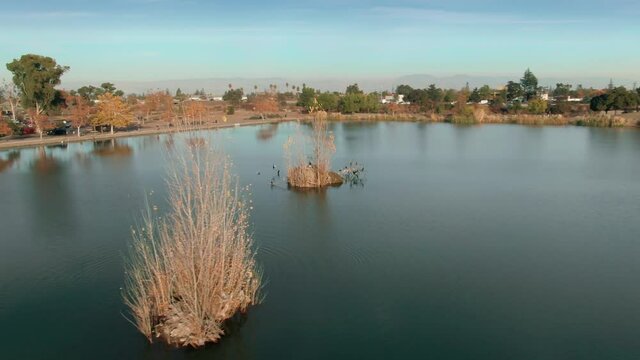 Aerial:  Los Gatos Creek County Park and lake. Campbell, Silicon Valley, California, USA