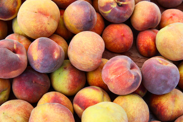 Fruits and vegetables from farmer's market