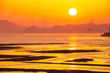 瀬戸内海の干潟の朝焼け　広島県三原市沼田川河口