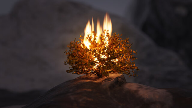 clipart of burning bush