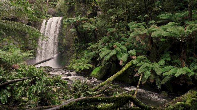 Majestic temperate Rainforest Waterfall in Australia