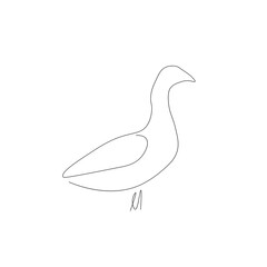Goose bird animal line drawing vector illustration