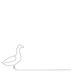 Goose bird animal line drawing vector illustration