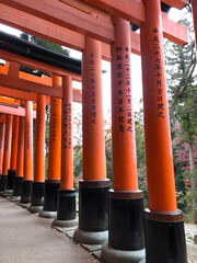 伏見稲荷大社は日本の京都の有名な観光地です