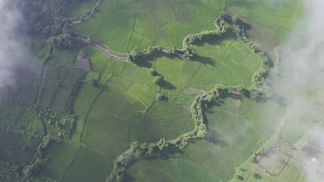 Aerial view landscape of Farm land fild in rural village mountains of asia with mist fog during morning time