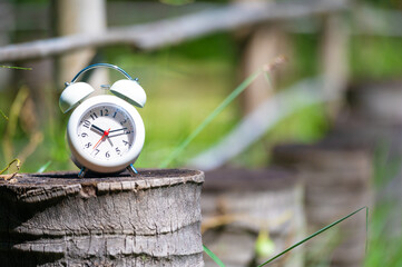 Naklejka premium Classic Alarm Clock on Wood Table with green background.