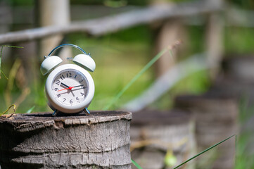 Naklejka premium clock on the grass