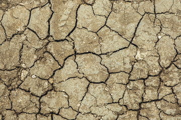 Brown dry cracked ground. Dried clay texture and patterns cracked surface of clay and land.