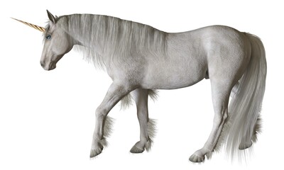 Obraz na płótnie Canvas Fantasy unicorn isolated on white background 3d illustration