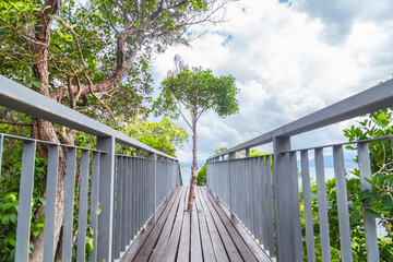 Fototapeta premium Walkway to the top viewpoint of Koh Hong island new landmark to see Beautiful scenery view 360 degree, Thailand.