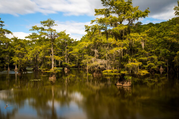 Beautiful view in sunny summer day at the famous Caddo Lake  State Park, Taxes, USA
