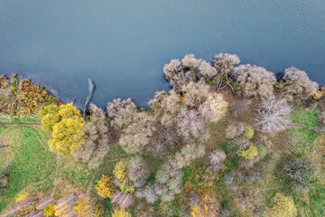 colorful autumn trees on the shore of a blue lake. top down aerial view.