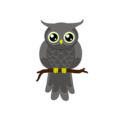 Gray owl with big eyes holding a twig on a white background