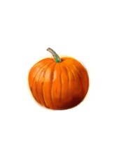 Hand written illustration of Pumpkin
