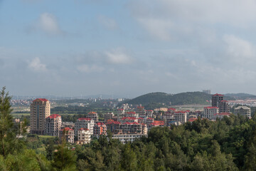The countryside in the forest under the blue sky