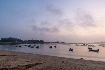 At the seaweed farm before sunrise in the morning, there are seaweed rows and boats