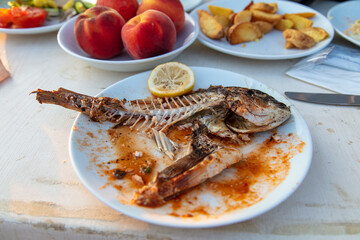 Fried fish skeleton in a plate