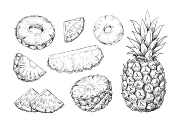 Hand drawn pineapple. Exotic ananas pieces and slices. Tropical plant fruit sketches set. Nature sweet dessert template. Botanical summer meal elements. Vector juicy vegetarian food - obrazy, fototapety, plakaty
