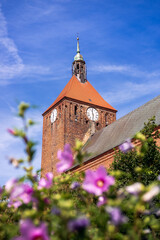 Gothic church tower with a clock in Darłowo. Red brick on the facade of the building and red tile on the roof of the tower. Church of Our Lady of Częstochowa in Darłowo. © LOGORYTM