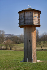 Brown pigeon tower (taubenturm) made of wood. The building stands on a green meadow and serves the animals as a shelter and breeding ground. Front view.