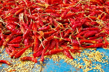 Fototapeta premium Pepper