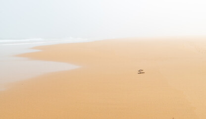 Foggy ocean coast Bordeira beach Algarve Portugal