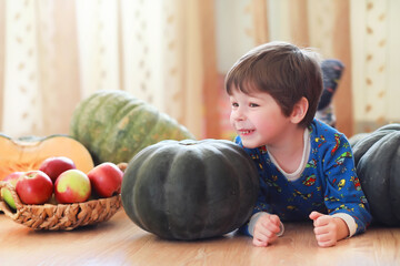 Fototapeta premium Little child choose a pumpkin at autumn. Child sitting on giant pumpkin. Pumpkin is traditional vegetable used on American holidays - Halloween and Thanksgiving Day.