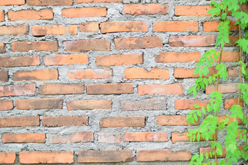 Obraz premium Background of old vintage brick wall