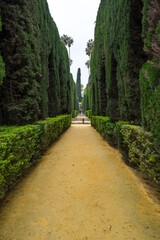 View of the garden in the Alcazar palace