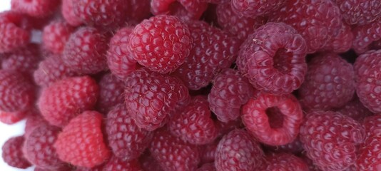 Garden large raspberries of a dark saturated color close up