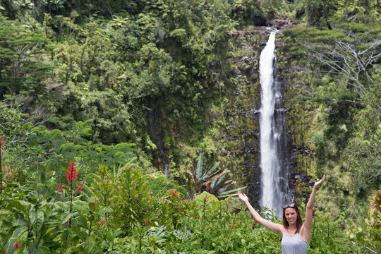 waterfall in the forest