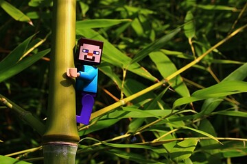 Obraz premium Figure of LEGO Minecraft character Steve climbing on Bamboo node near its side branch, summer afternoon sunshine.