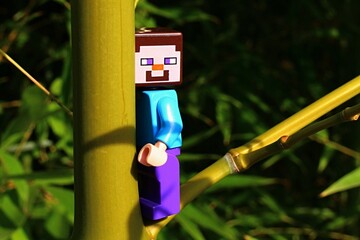 Obraz premium LEGO Minecraft figure of Steve standing on branch growing from node of Bamboo plant of genus Phyllostachys, summer afternoon sunshine.